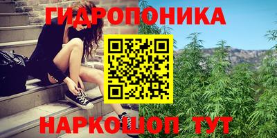 jwh Новодвинск