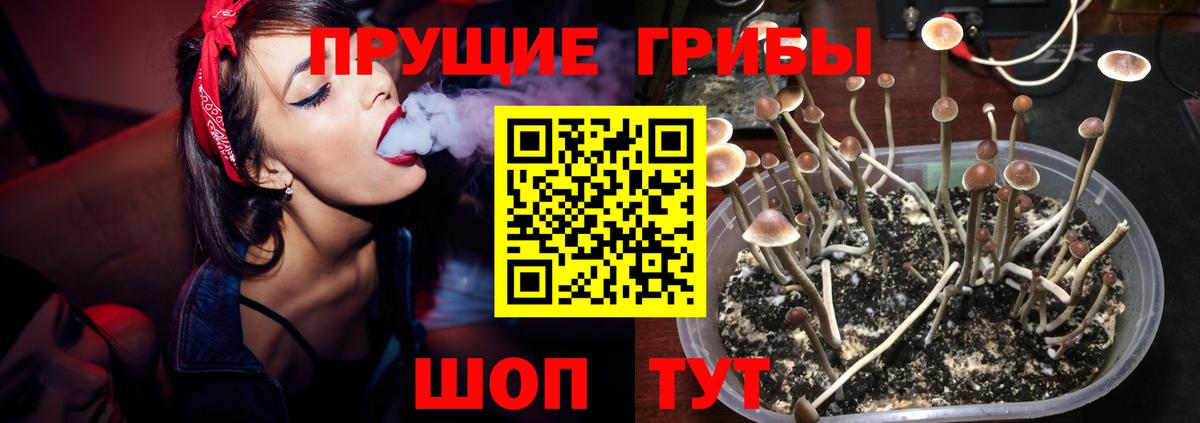Галлюциногенные грибы мицелий  Вход с VPN  Семилуки 